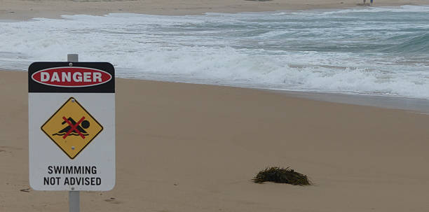 istock Do not swim sign 2228426724