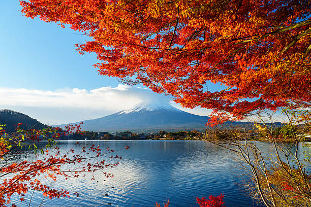 istock Rhythm of Autumn: Red Maple leaves Sparkling in Sunlight by lakeshore before Mount Fuji 2228427984
