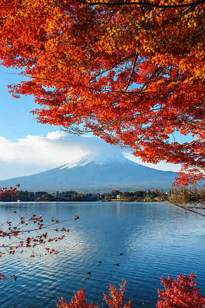 istock Rhythm of Autumn: Red Maple leaves Sparkling in Sunlight by lakeshore before Mount Fuji 2228428002