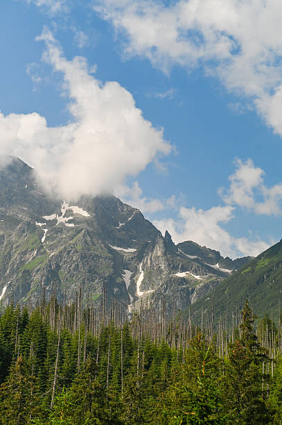 istock vertical photo Blue sky with white clouds over mountains. lush coniferous forest. 2228429612