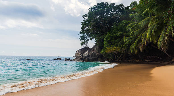 istock Tropical Sandy Beach With Lush Greenery and Gentle Ocean Waves 2228429731