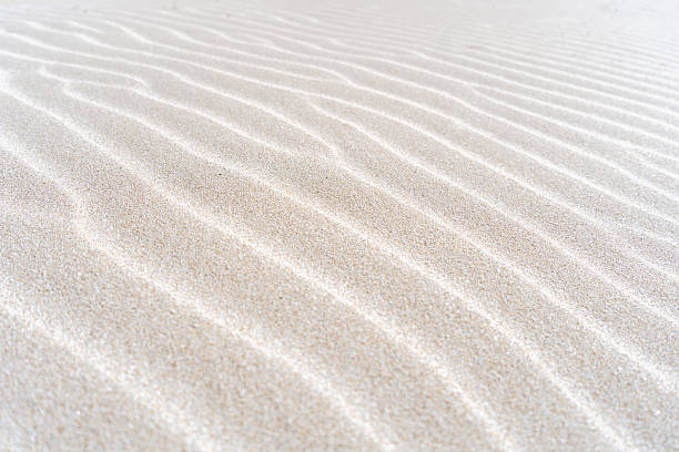 istock Close-up detail of natural patterns on sand dune surface 2228431368
