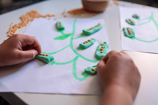 istock Child making a plant-themed craft using green modeling clay and dried lentils on white paper. Creative hands-on activity for kids with a wooden bowl of legumes on the table 2228438574