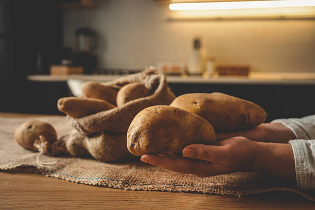 istock Hands holding fresh potatoes beside a burlap sack on a rustic kitchen table. Warm natural light and cozy interior atmosphere 2228438943