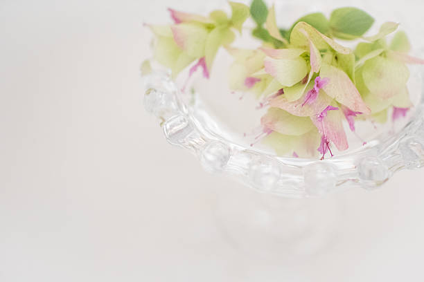 Flowers displayed in glass vessels