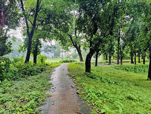 istock Serene pathway through a lush green park with benches for relaxation 2228443961