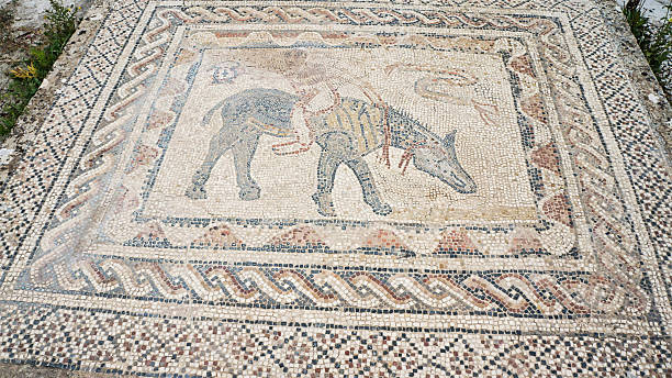 istock Volubilis ancient Roman mosaic 2228451155