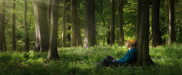 istock Man sitting under trees and enjoying the gentle sunlight 2228454237
