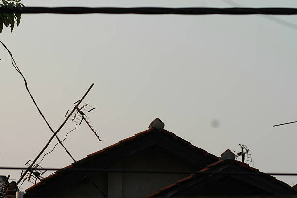 istock a bird flying over a building with a tv antenna on top 2228455741