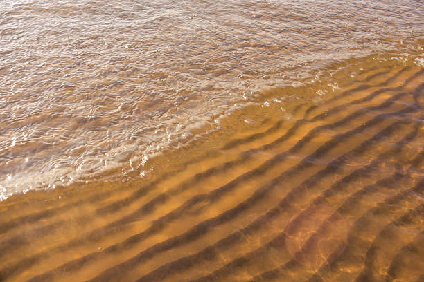 The water is brown and has ripples
