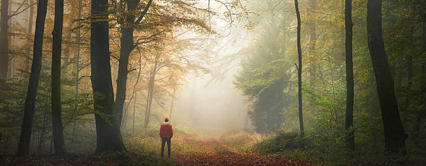istock Hiker taking in a misty scenery in the forest 2228462155