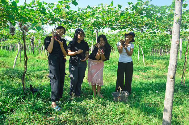 Four cheerful teen girls pose proudly with grape harvest