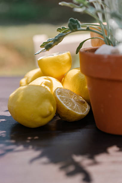 istock still life with lemons and flower pots, beautiful shadows on a table 2228466040