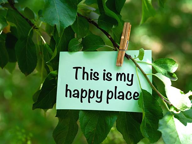 istock A green paper note with words This is My Happy Place hanging on a tree branch. 2228467303