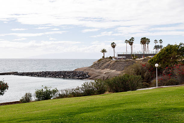 Arona Santa Cruz de Tenerife, Canary Islands, Spain - October 19, 2024: 2 young ring pigeons keep an eye on photographer while a landscape photo of holiday resort and beach background is taken