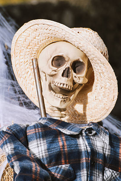 Funny skeleton scarecrow wearing a straw hat, rustic Halloween humor.