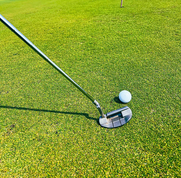 Golf player preparing to putt on a lush green course with a white ball near the hole on a sunny day