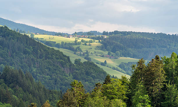istock Around Schoenau in the Black Forest 2228480136