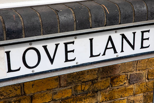istock Love Lane Street Sign 2228480254