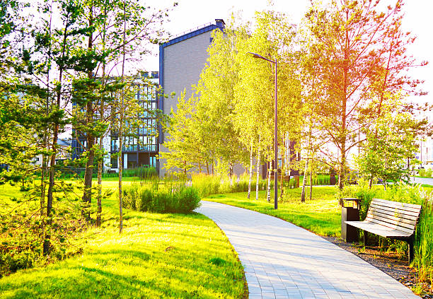 Landscape Architecture for Public Spaces. Pathway in modern Apartment courtyard. Bench on Walkway in green spaces. Lawn grass, pine trees, shrubs in residential area. Landscaping for urban spaces.