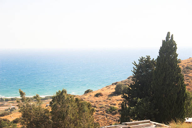 A peaceful Mediterranean coastal view captured in Cyprus, featuring crystal-clear blue water, golden dry hills and lush green trees. Taken on a sunny summer day, this natural landscape conveys calmness and warmth—ideal for travel, nature, or landscape-themed projects set in the Eastern Mediterranean.