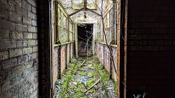 istock Derelict apocalyptic bridge walkway between abandoned factory with overgrown weeds, moss, broken glass windows, missing roof, inside hallway corridor in danger of collapsing 2228482288