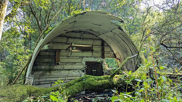WWII RAF Air Raid Shelter derelict and collapsing in a forest on sunny day surrounded by greenery, branches, leaves and plants
