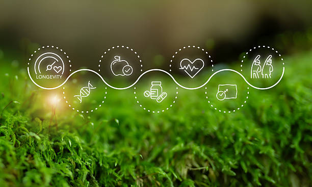 istock Longevity and wellness, longevity economy. Wellness and longevity icons along a wave path over a natural green background, the connection between healthy living, natural lifestyle, extended lifespan. 2228485608