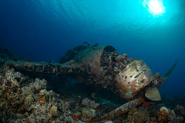 Wreck of a passenger ferry Salem Express lying at the bottom of Red Sea in Egypt near Safaga. Ship overgrown with coral reef, underwater landscape