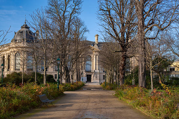 Paris, France - December 6 2024: Autumn scene in Paris with a view of the iconic Petit Palais on a sunny winter day. Bare trees line a peaceful garden path leading to this historic Beaux-Arts building