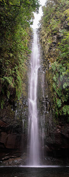 istock Waterfall in Madeira laurel forest Portugal 2228493706