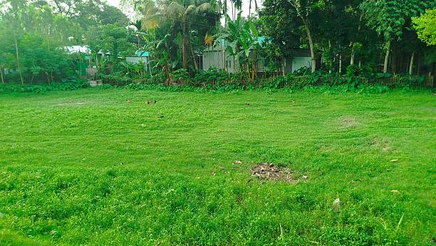istock Beautiful Green Grass Field Under Clear Sky 2228494516