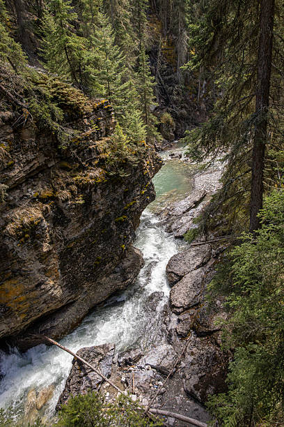 istock Serene Spring View of Johnston Creek Flowing Waters Through Rocky Cliffs at Johnston Canyon, Banff National Park, Alberta 2228495600