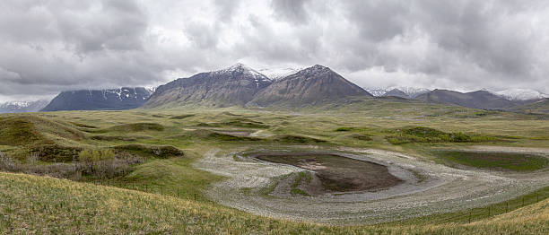 Panoramic landscape of the Bison Paddock in Waterton Lakes National Park of Alberta, Canada. Green rolling hills, dry pools, and snow-capped mountains under cloudy spring skies create a tranquil outdoor setting.