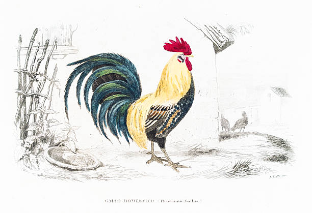 Opere Complete di Buffon / Giovanni Boschi Stabilimento Tipografico - Naples 1877