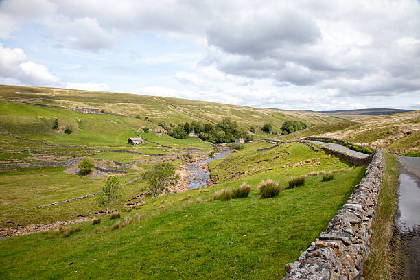 England, North Yorkshire, Wharfedale, Bolton Abbey,  Near River Wharfe. Local fields with Oak Trees.