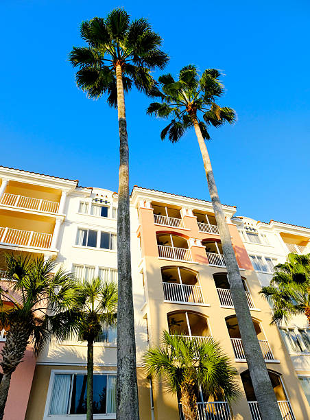 istock Palm Trees at Evening in Tropical Location Resort Hotel Building 2228508992