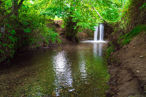 Blurred view of river with rapids near forest