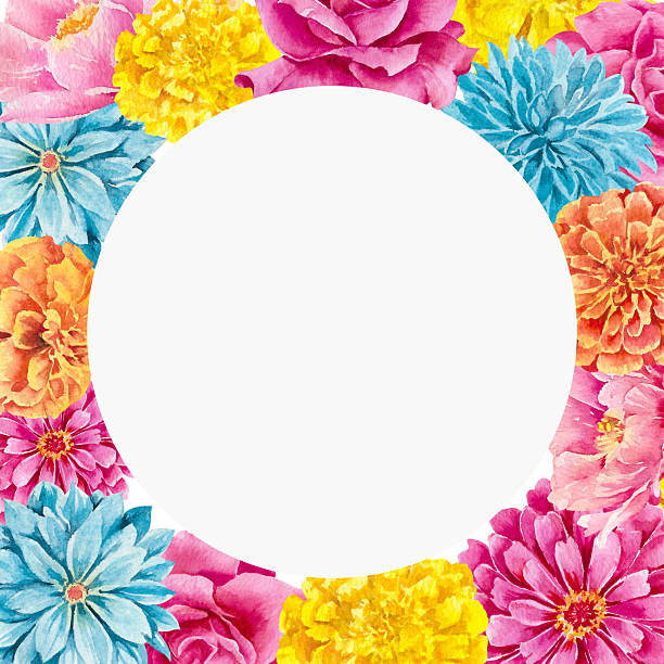 Roses, dahlias and marigolds hand drawn watercolor illustration isolated on white. Bright Colorful floral circle frame for design of holiday cards, invitations, wedding ceremony, birthday party