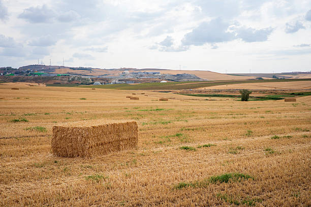 A vast rural landscape featuring a large, rectangular bale of hay in the foreground.The hay bale is golden brown and neatly stacked