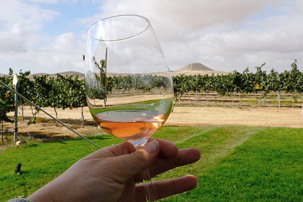 istock Close-Up of Desert Vineyard Grapes with Mountain Background 2228533563