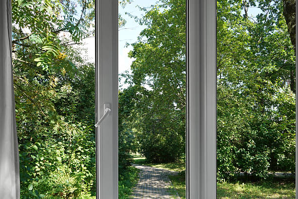 istock View from the window of a park with green trees. 2228534633