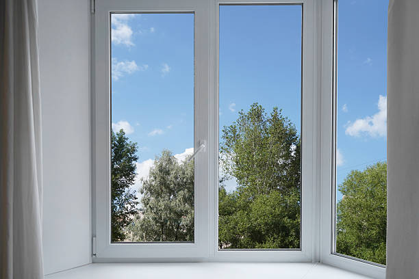 istock View from the window of a park with green trees. 2228534634