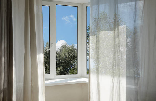 istock View from the window of a park with green trees. 2228534641