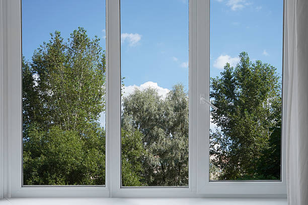 istock View from the window of a park with green trees. 2228534654