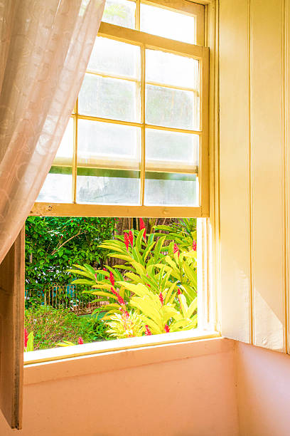 A half-open window revealing a beautiful garden