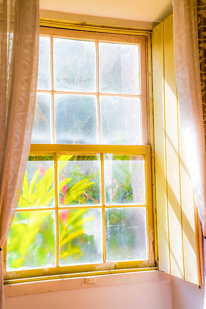 istock The image shows a yellow wooden window, composed of small rectangular panes of glass that let in natural light. From the outside, vibrant green leaves and partially visible red flowers stand out, as the window is closed. 2228536808