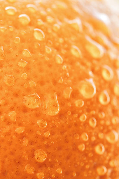 Close-Up of Orange Fruit