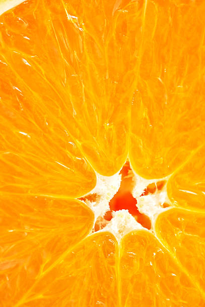 Close-Up of Orange Fruit