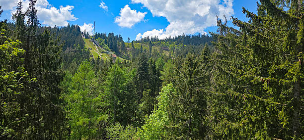 View of the Ruhestein ski jump at Ruhestein near Baiersbronn. Surrounded by fir trees in the Black Forest